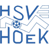 HSV胡克 HSV胡克