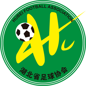 湖北全运女足 湖北全运女足